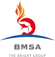 BMSA
